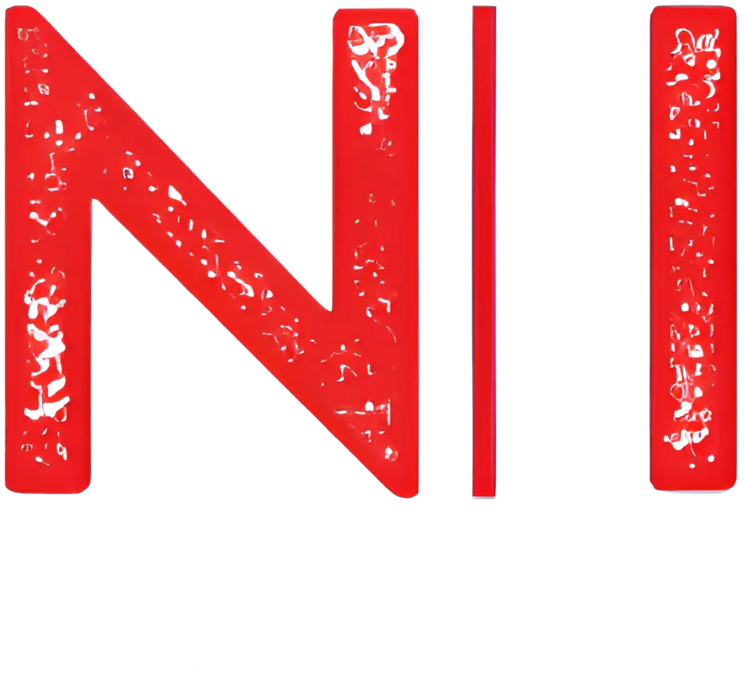 Nyx Int